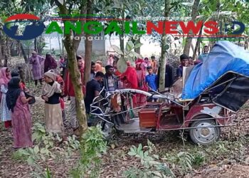 ঘাটাইলে লেগুনার ধাক্কায় অটোরিকশার চালকসহ নিহত ২