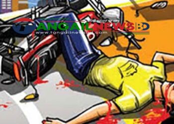 মির্জাপুরে সড়ক দুর্ঘটনায় দাখিল পরীক্ষার্থী নিহত