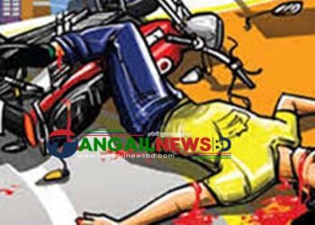 মির্জাপুরে সড়ক দুর্ঘটনায় এনজিও কর্মী নিহত