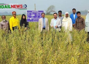 কালিহাতীতে বিনা’র মাঠ দিবস অনুষ্ঠিত