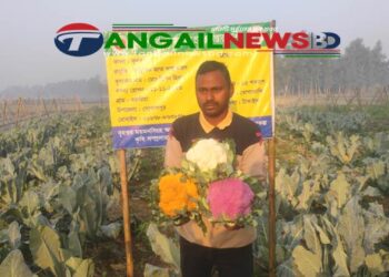রঙ্গীন ফুলকপি চাষে কৃষকের স্বপ্নপূরণ চাষে আগ্রহী হচ্ছে কৃষকরা