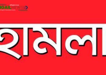 মির্জাপুরে হোটেলে হামলায় ছয় জন আহত