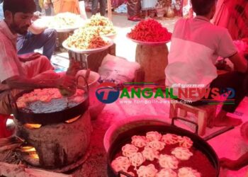 টাঙ্গাইলে কালীবাড়ী মন্দিরে শত বছরের বৈশাখী মেলা অনুষ্ঠিত