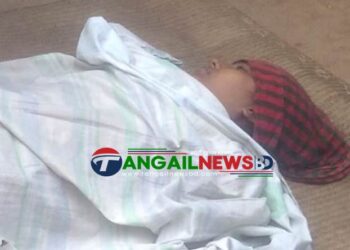 সখীপুরে ফাঁসিতে ঝুলে গৃহবধূর আত্মহত্যা