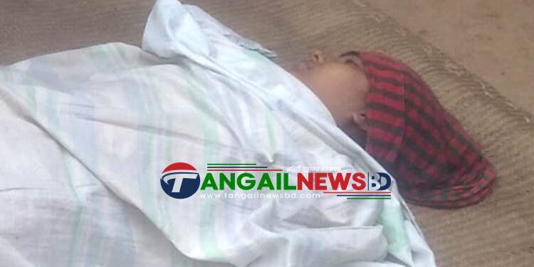 সখীপুরে ফাঁসিতে ঝুলে গৃহবধূর আত্মহত্যা
