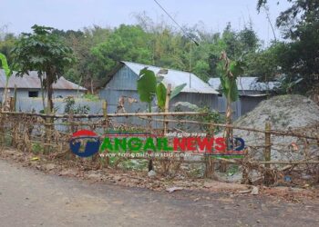 ঘাটাইলে বনের জমিতে চলছে স্থাপনা নির্মাণ