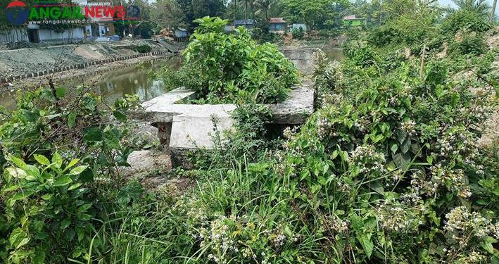 অযত্নে শহীদ জামালের কবর।। লাগানো হয়নি নাম ফলক