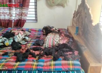 নাগরপুরে বসত ঘরে আগুন