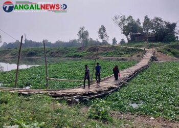 একটি সেতুর অভাবে দুর্ভোগ পোহাচ্ছে দুই উপজেলার মানুষ