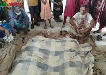 কালিহাতীতে বজ্রপাতে দুই ধান কাটা শ্রমিকের মৃত্যু