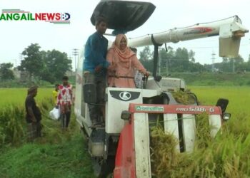 টাঙ্গাইল সদর উপজেলায় বোরো ধান কর্তন উদ্বোধন