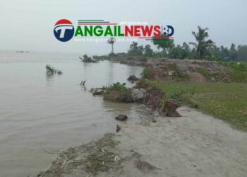 টাঙ্গাইলের কাকুয়া ও কাতুলীতে যমুনার ভাঙনের মুখে পড়েছে গ্রামগুলো