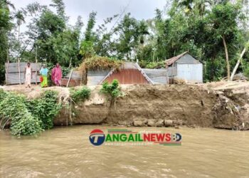 টাঙ্গাইলের সব নদীর পানি বৃদ্ধির পাশাপাশী নদী ভাঙ্গন তীব্র হয়েছে