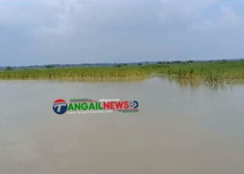 টাঙ্গাইলের বন্যা পরিস্থিতির আরো উন্নতি হয়েছে