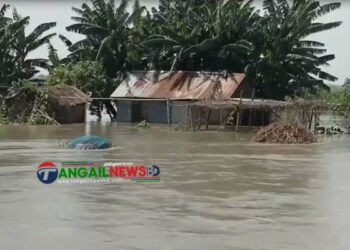 টাঙ্গাইলের বন্যা পরিস্থিতি কোথাও অপরিবর্তিত কোথাও অবনতি