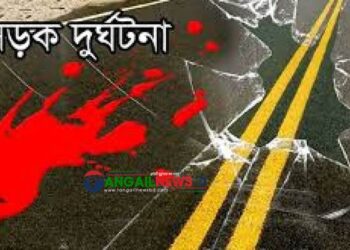 মির্জাপুরে সড়ক দুর্ঘটনায় দুইজন নিহত