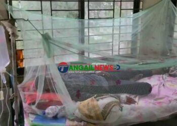 টাঙ্গাইলে ২৪ ঘন্টায় নতুন ২১ জন ডেঙ্গু জ্বরের রোগী শনাক্ত