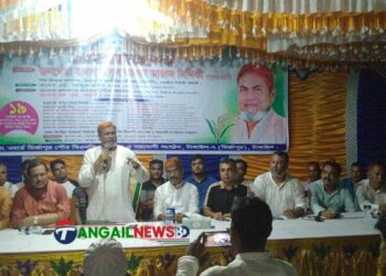 মির্জাপুরে বিএনপির সমাবেশ অনুষ্ঠিত