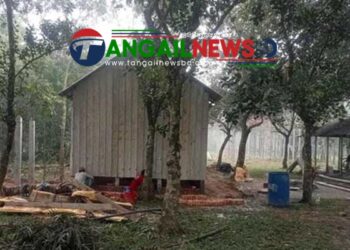 ঘাটাইলে বনের জায়গা জবরদখল করে ঘর উত্তোলনের অভিযোগ