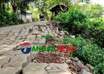 ভূঞাপুরে চর কয়েড়া-আকালু রাস্তার বিভিন্ন স্থানে ধস