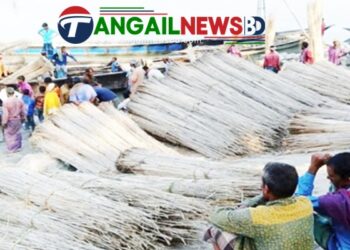 যমুনা তীরের পাটখড়ির চারকোল যাচ্ছে বিদেশের ১০ দেশে