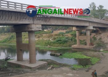 টাঙ্গাইলে সোয়া সাত কোটি টাকার সেতু কোনো কাজে আসছে না