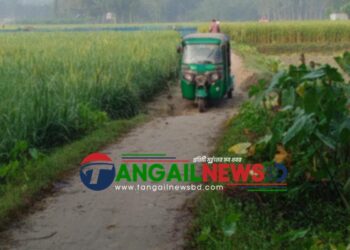 টাঙ্গাইলের মগড়ায় এক কিমি রাস্তার জন্য ১০ গ্রামের মানুষের দুর্ভোগ