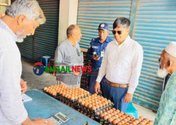 মির্জাপুরে নিত্যপণ্যের বাজার প্রশাসনের নজরদারিতে