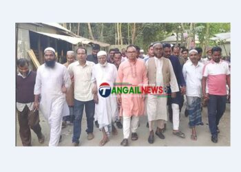 ধনবাড়ীতে বিএনপির বিক্ষোভ মিছিল