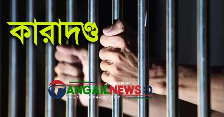 মির্জাপুরে মাদক বিক্রি ও সেবনের অপরাধে ৩ জনের কারাদন্ড