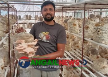 ধনবাড়িতে পুষ্টি উন্নয়ন ও দারিদ্রতা জয়ে রাসেলের মাসরুম চাষে সাফল্য