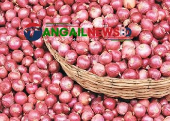 টাঙ্গাইলে বেড়েছে পেঁয়াজ তেল ও সবজির দাম ॥ অস্থির নিত্যপণ্যের বাজার