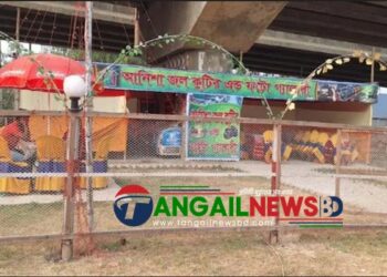 ঢাকা-টাঙ্গাইল মহাসড়কে সওজের জায়গা দখল করে ফাস্টফুডের দোকান