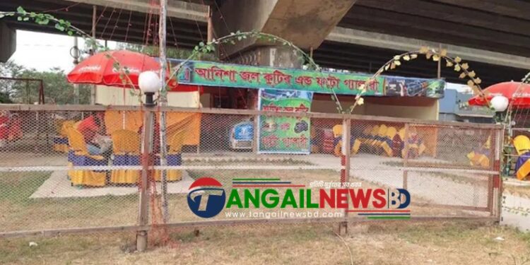 ঢাকা-টাঙ্গাইল মহাসড়কে সওজের জায়গা দখল করে ফাস্টফুডের দোকান