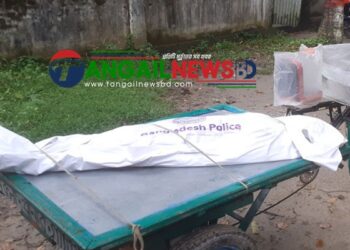 সখীপুরে ফাঁসিতে ঝুলে গৃহবধূর আত্মহত্যার অভিযোগ