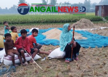 ভূঞাপুরে ওয়ারিশ দাবি করায় ৭০ বছর বয়সী অসুস্থ বোনকে মারধরের অভিযোগ