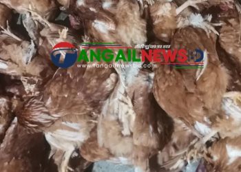 গোপালপুরে ব্যাপকহারে মড়কের প্রাদুর্ভাবে সর্বশান্ত হচ্ছে পোল্ট্রি খামারীরা