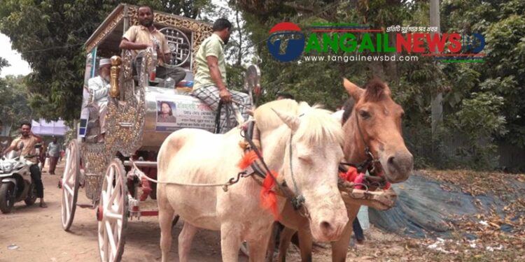 ঘোড়ার গাড়িতে মির্জাপুরে মসজিদের ইমামের রাজকীয় বিদায়