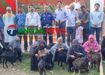 বাসাইলে অসহায় ও দুস্থ নারীদের মাঝে ছাগল বিতরণ