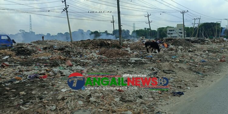 টাঙ্গাইল পৌরসভার দুই প্রবেশ মুখে ময়লার ভাগাড় ॥ জনস্বাস্থ্য ও পরিবেশ হুমকিতে