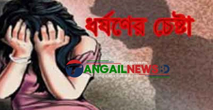মির্জাপুরে সাত দিনে ৩ শিশু ধর্ষণ চেষ্টা ৩ মামলায় গ্রেপ্তার ২ জন
