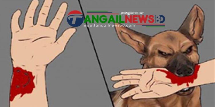 গোপালপুরে পাগলা কুকুরের কামড়ে ২৩ জন আহত