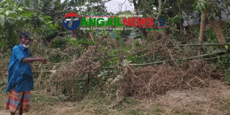 মির্জাপুরে চোরের অপবাদে বাড়ির রাস্তায় বেড়া ॥ তিন পরিবার অবরুদ্ধ