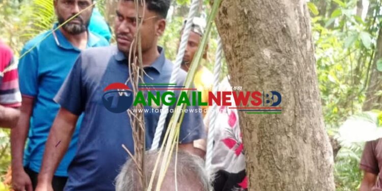 মধুপুরে নিখোঁজের একদিন পর জঙ্গলে মিলল কাঠমিস্ত্রির ঝুলন্ত মরদেহ