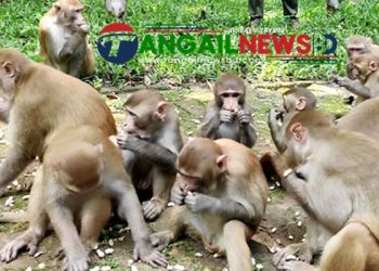 মধুপুরের গভীর জঙ্গলে চলতি খরায় পশুপাখির পানীয় জলের তীব্র সংকট চলছে