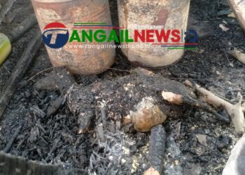 গোপালপুরে গবাদি পশু ও আসবাবপত্রসহ বসতঘর পুড়ে ছাই