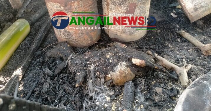 গোপালপুরে গবাদি পশু ও আসবাবপত্রসহ বসতঘর পুড়ে ছাই