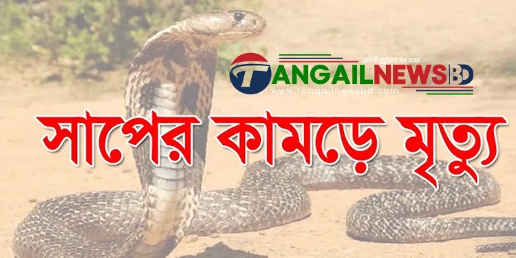 সখীপুরে পানি আনতে গিয়ে সাপের কামড়ে নারীর মৃত্যু