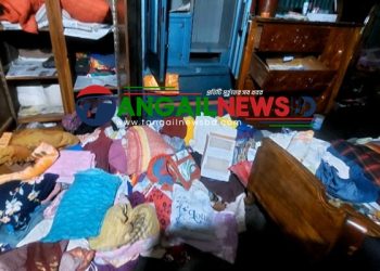 মির্জাপুরে এনটিভির সাংবাদিকের বাড়িতে দিন-দুপুরে চুরি