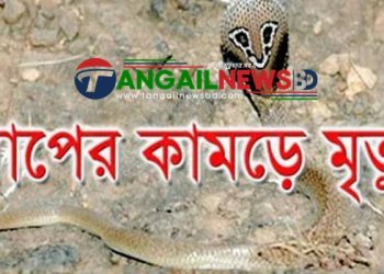 মির্জাপুরে সাপের কামড়ে দুই বছরের শিশুর মৃত্যু